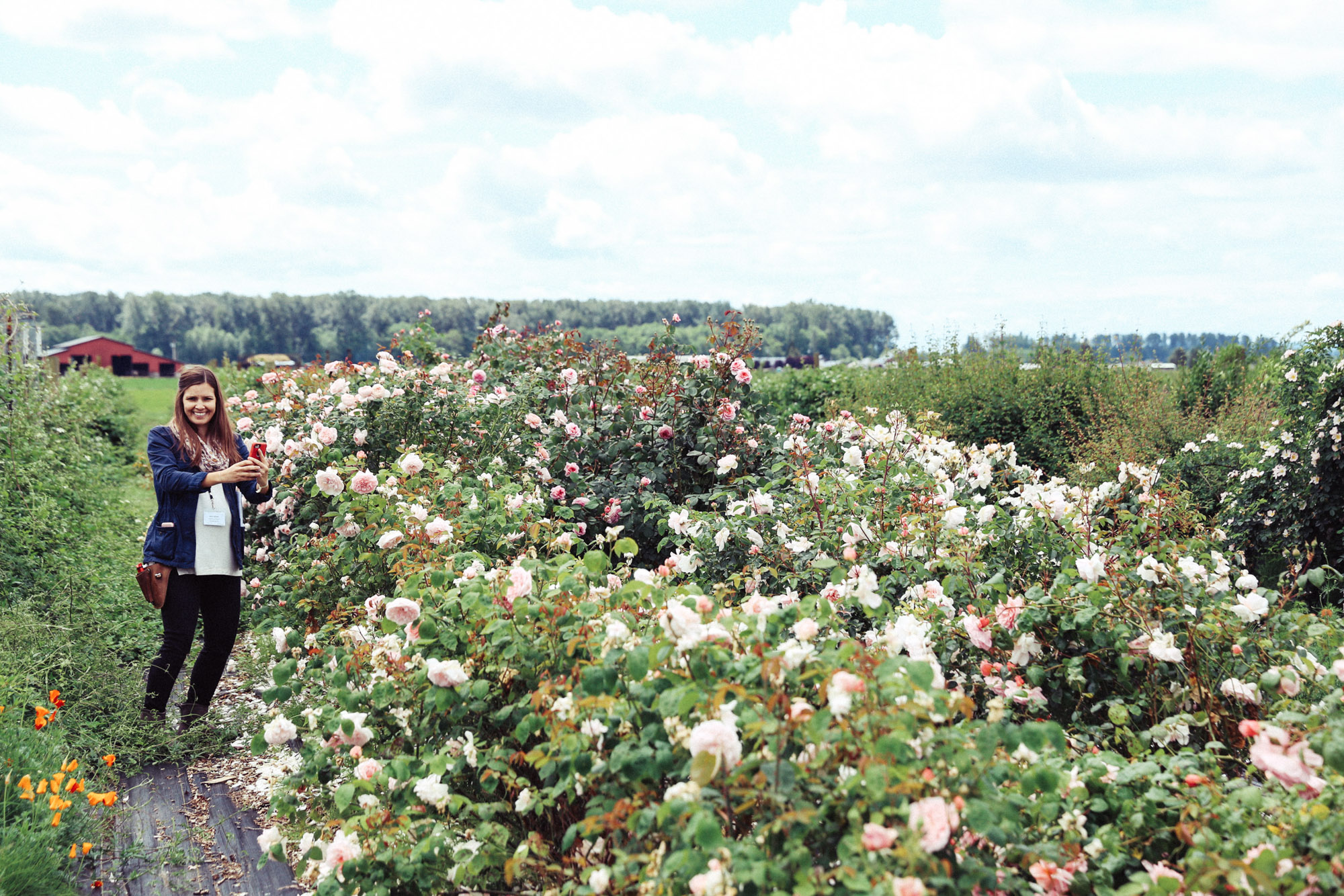 Oh Flora Travels, Floret 2017-18.jpg