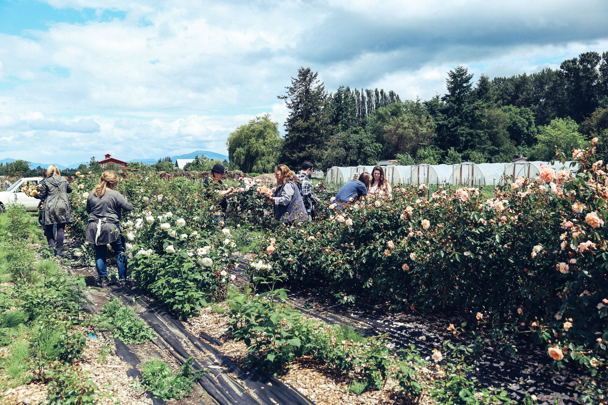 Oh Flora Travels, Floret 2017-35.jpg