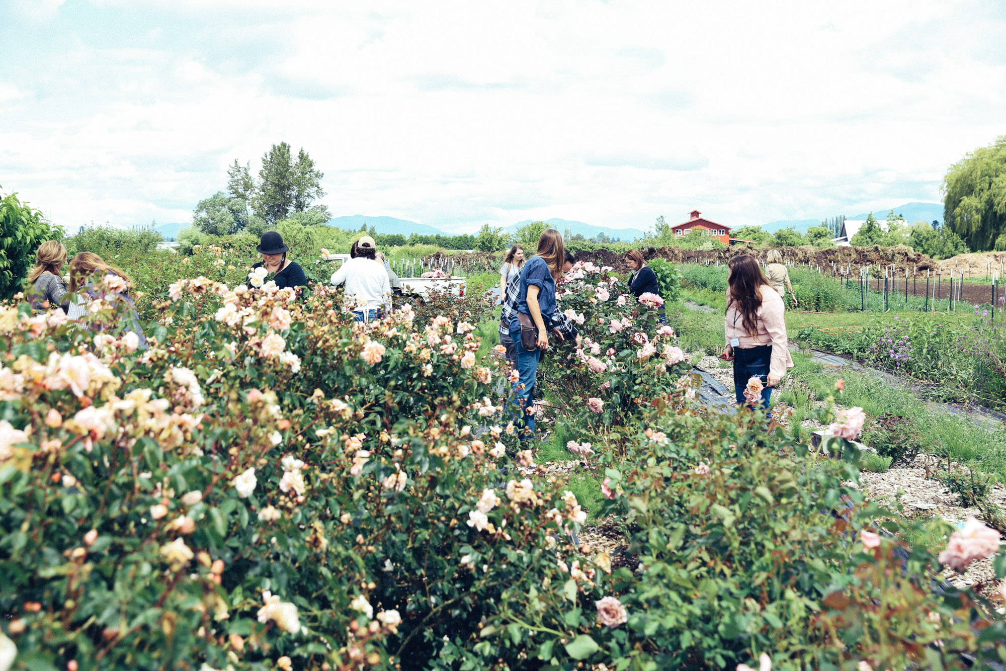 Oh Flora Travels, Floret 2017-38.jpg