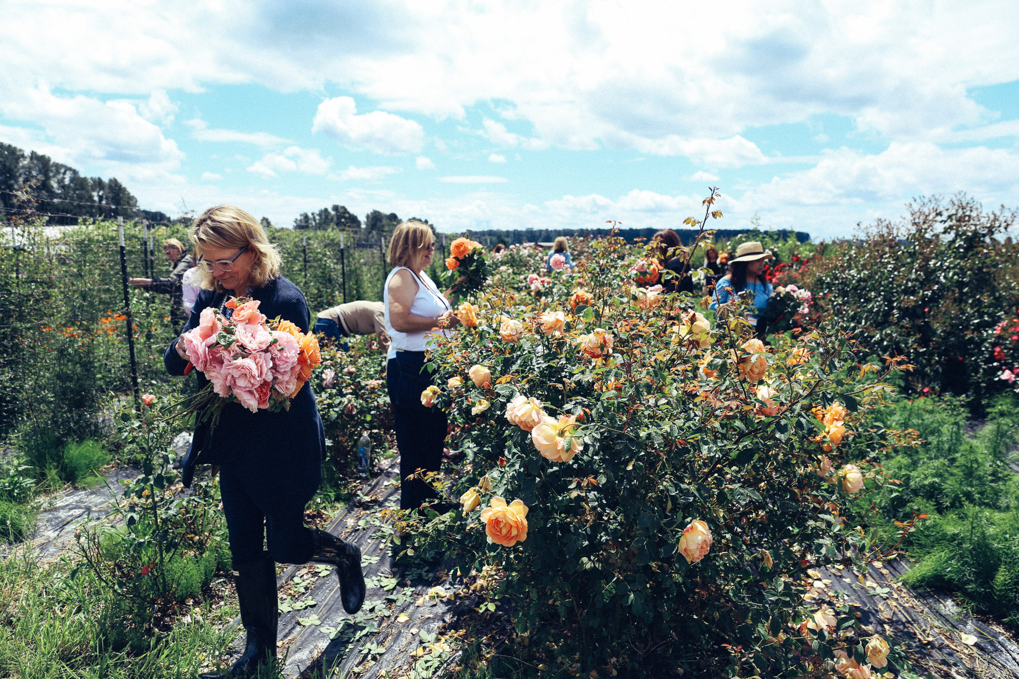 Oh Flora Travels, Floret 2017-42.jpg