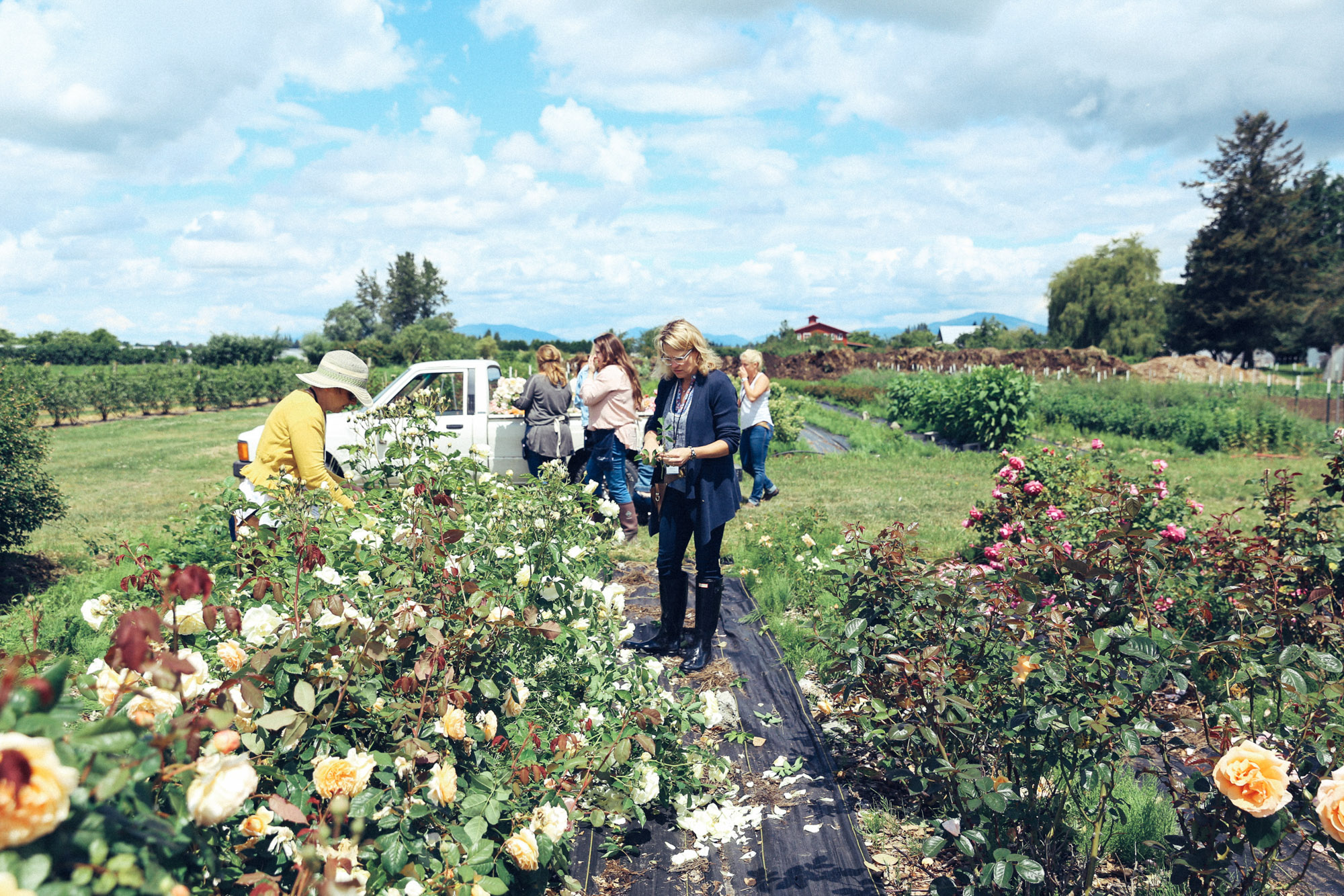 Oh Flora Travels, Floret 2017-46.jpg
