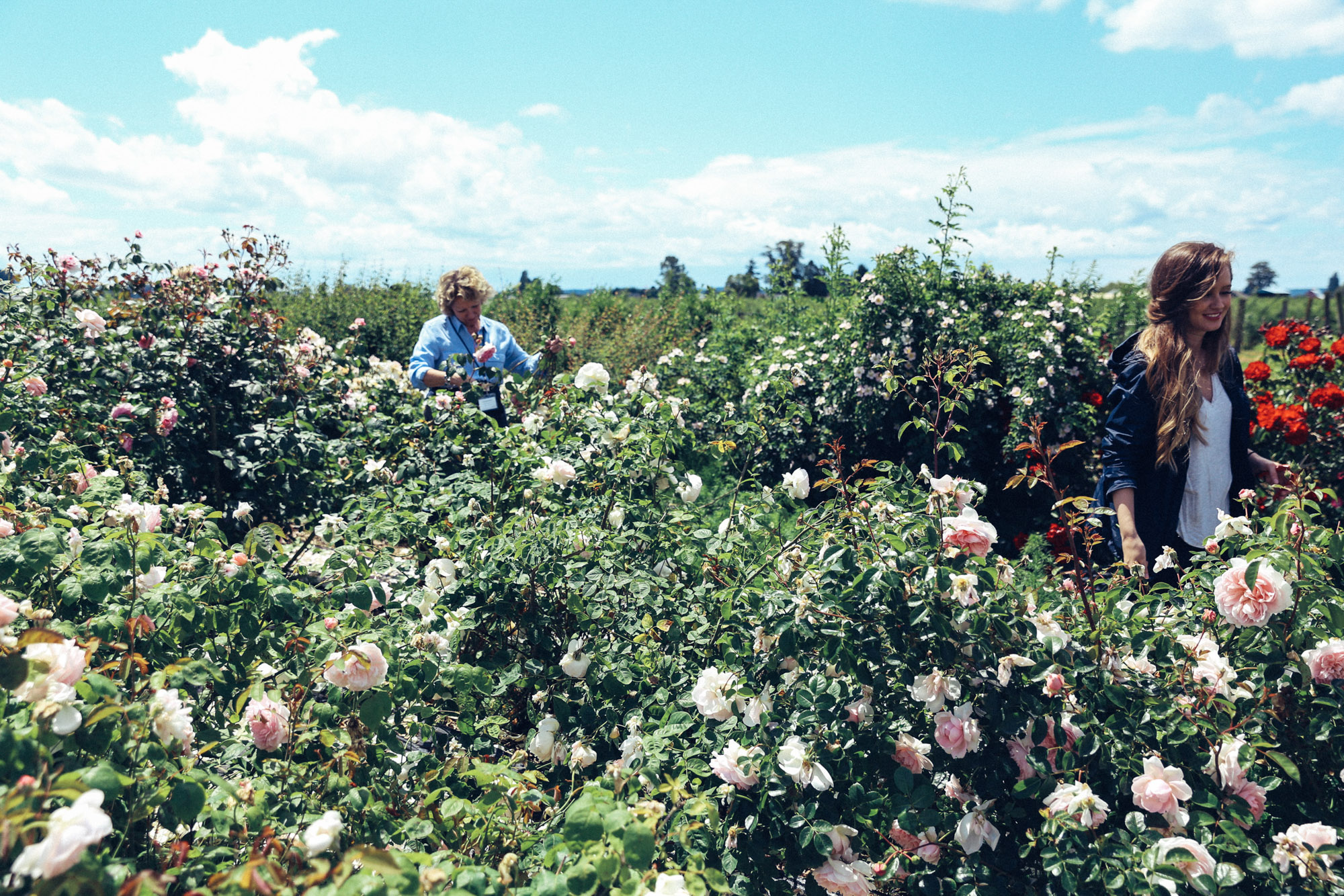 Oh Flora Travels, Floret 2017-64.jpg