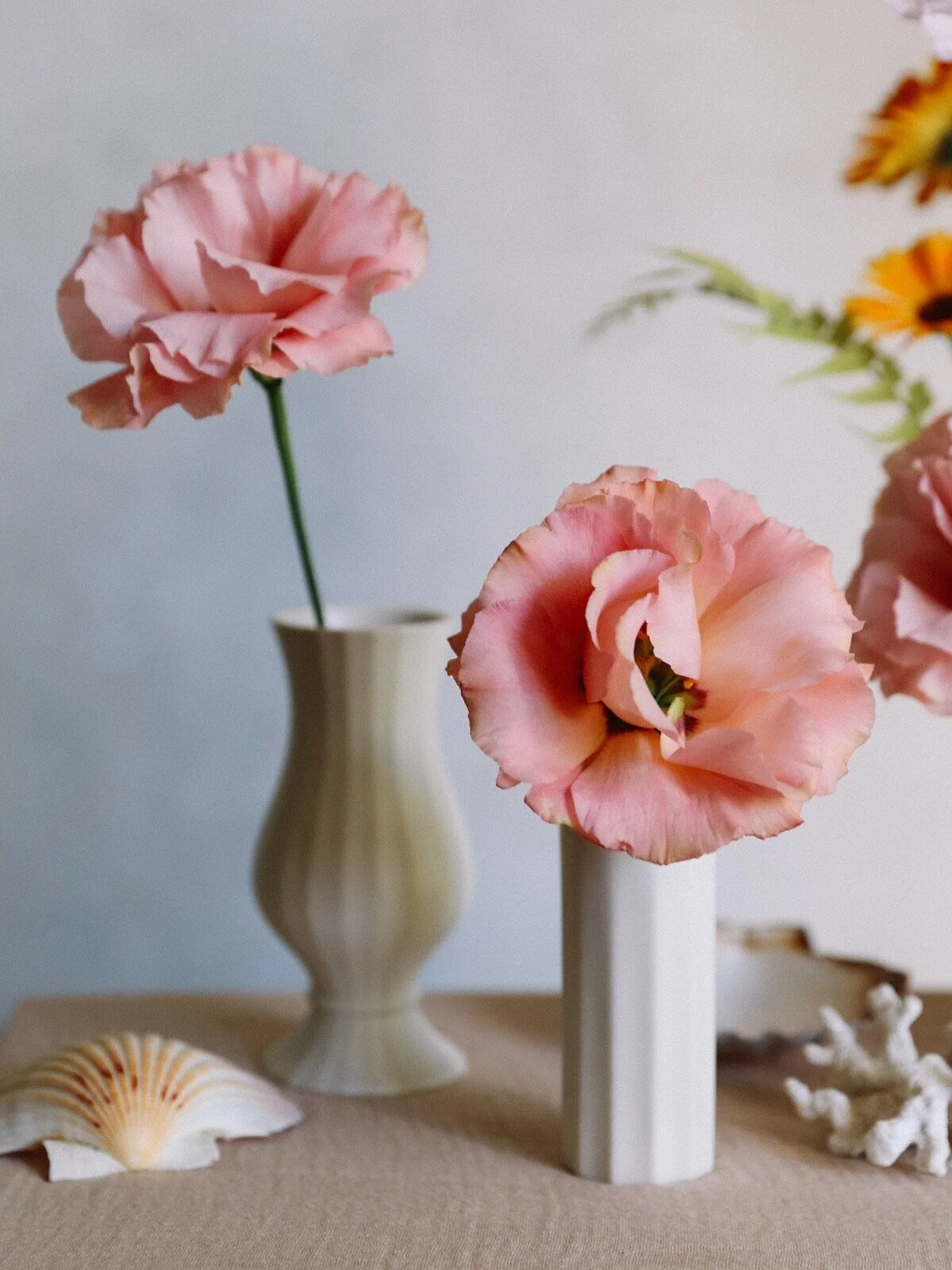 Oh+Flora+Studio_Collection3