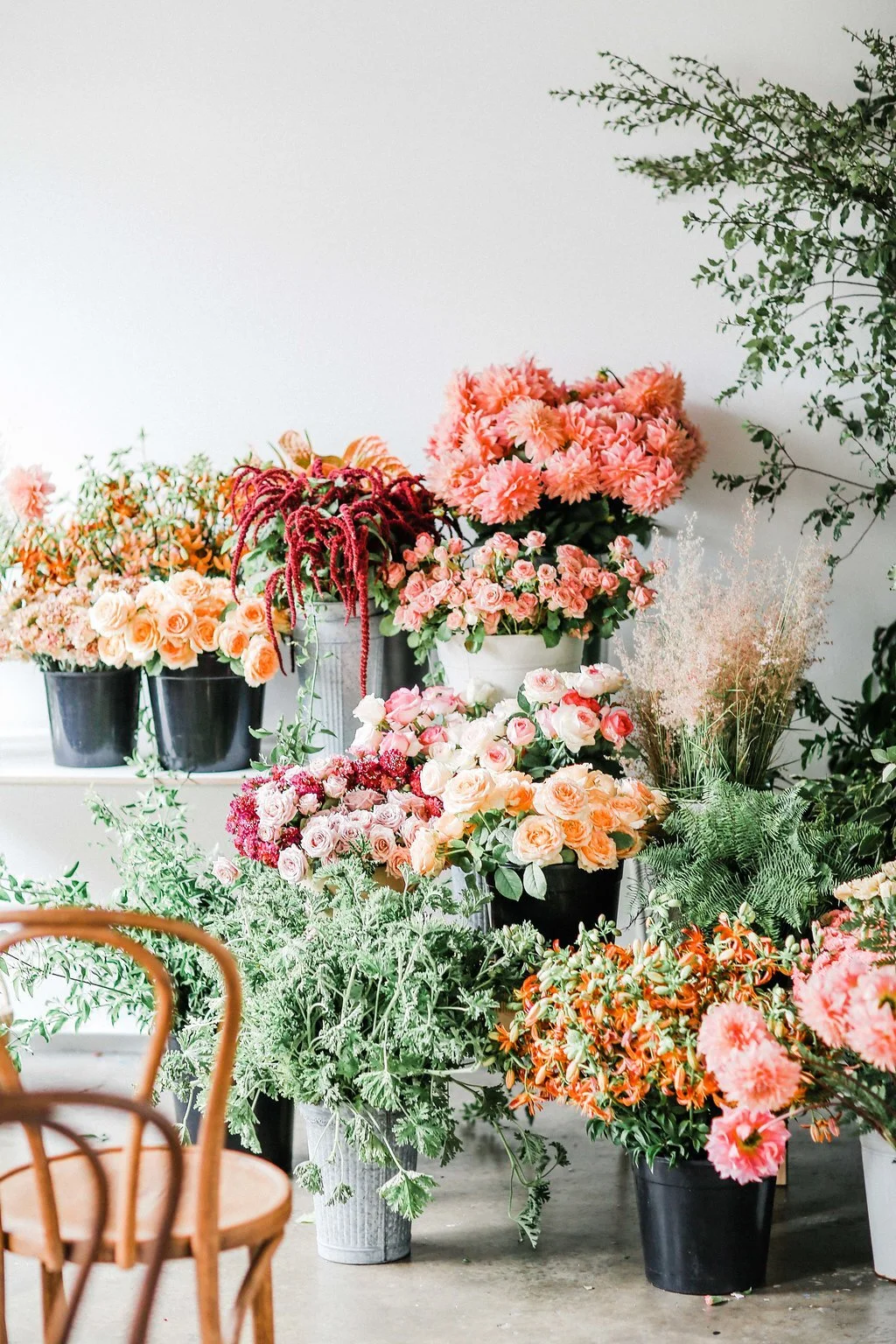 ILLUME II Autumn 2018