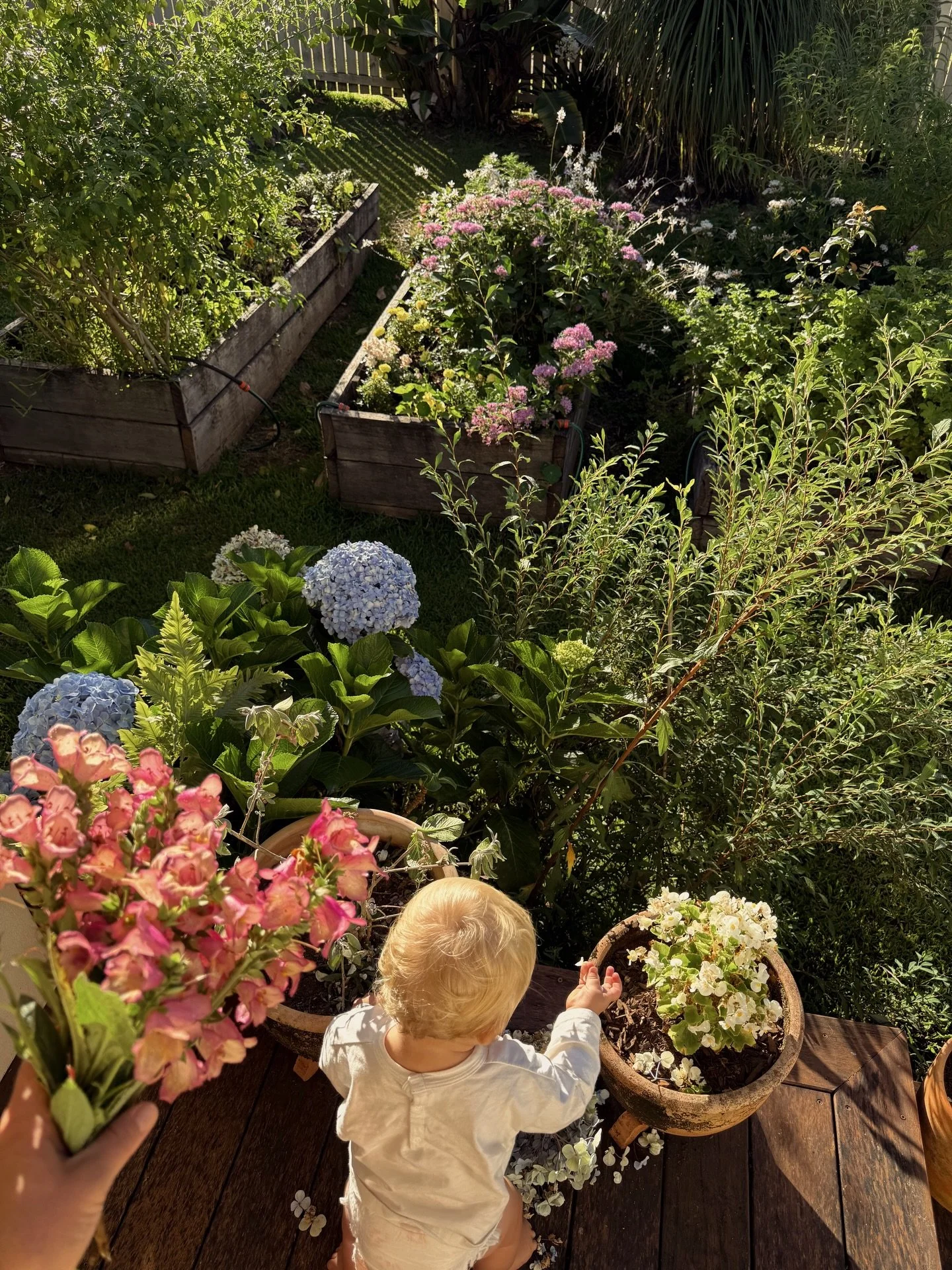 A week in the life of a mother, business owner, gardener, farmer market lover, marketplace trawling and festive enthusiast &mdash; but the last image truly shows the state of my brain all times of the year. 

A little reminder to buy a second hand th