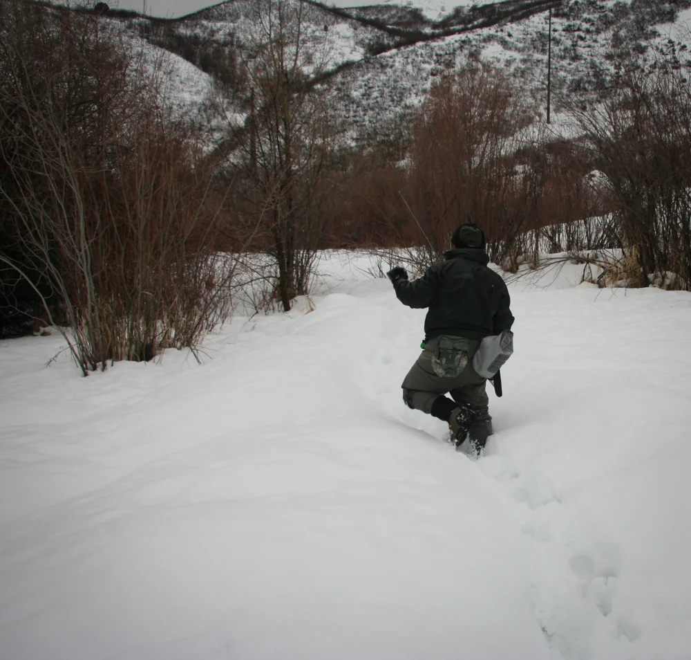 Don't mind the cold? Then follow me...