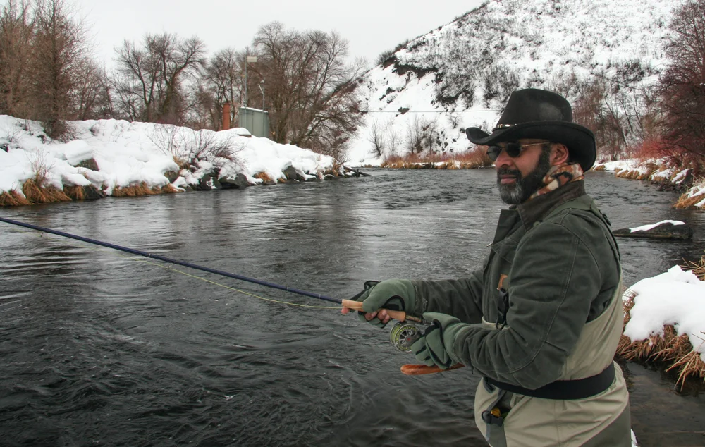 efishes-4.jpg