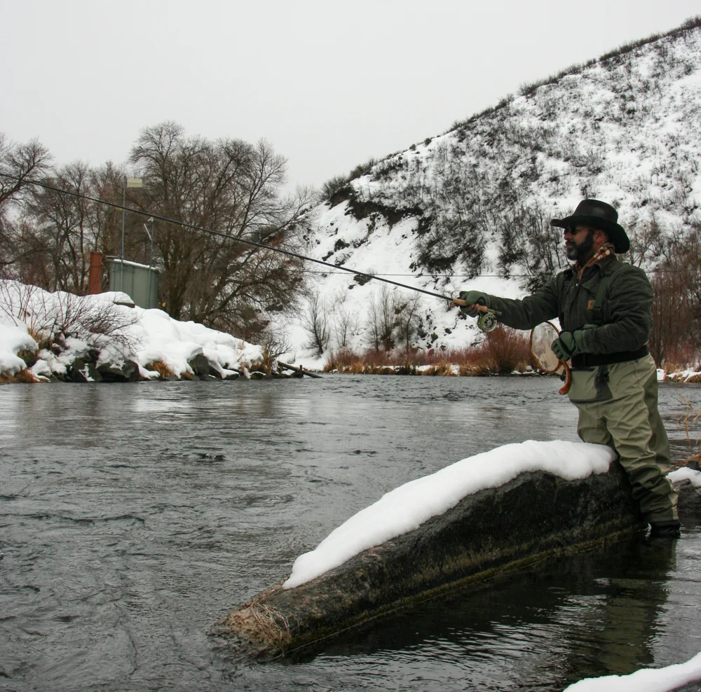 efishes-10.jpg