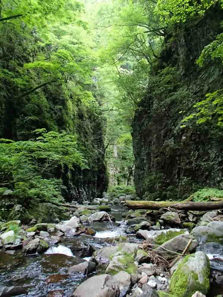 Giant boot eating and ankle twisting boulders obscure any clear path up the stream
