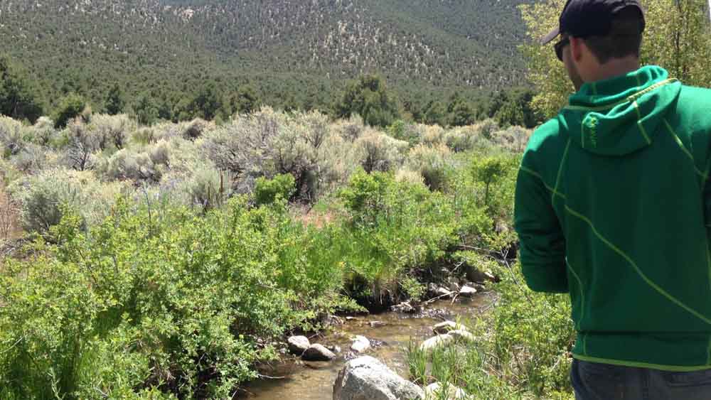 Strawberry creek, not as sweet as we hoped.