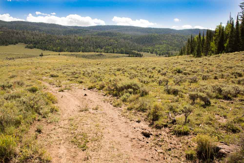 The trail...or is it?