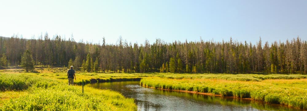 Ben scouted the two farthest streams...
