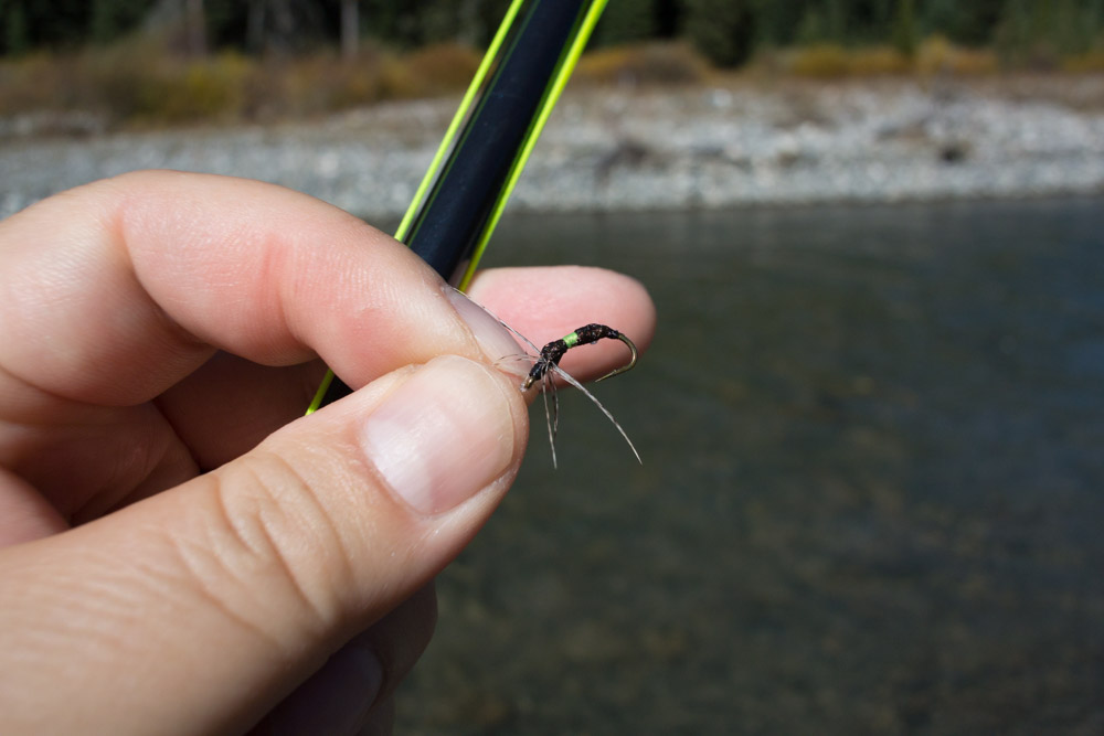 Vagabox flies caught plenty of wild Montana rainbows.