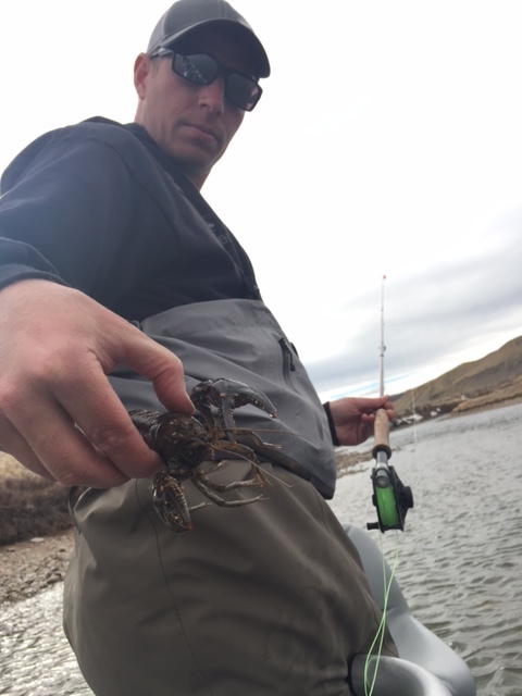 Kelly hooks into a huge crayfish. 