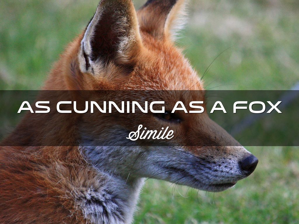 Similes are great fun to teach