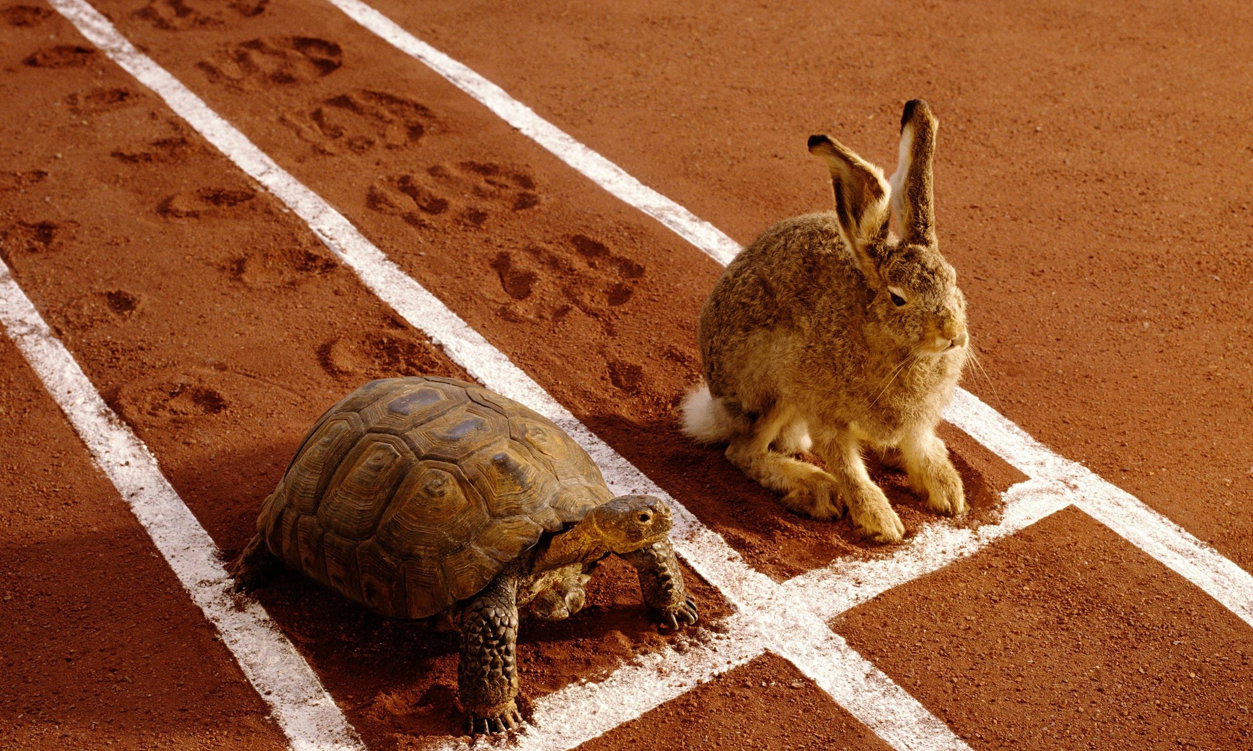 TEACHING MORALS IN THE CLASS TODAY CAN BE DIFFICULT. bUT FABLES OPEN UP THAT CONVERSATION.
