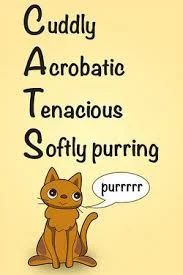 acrostic-poems-for-teachers-and-students.jpg