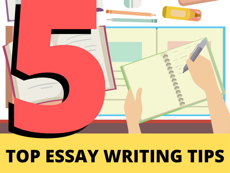 The Beginner's Guide to Writing an Essay Steps & Examples