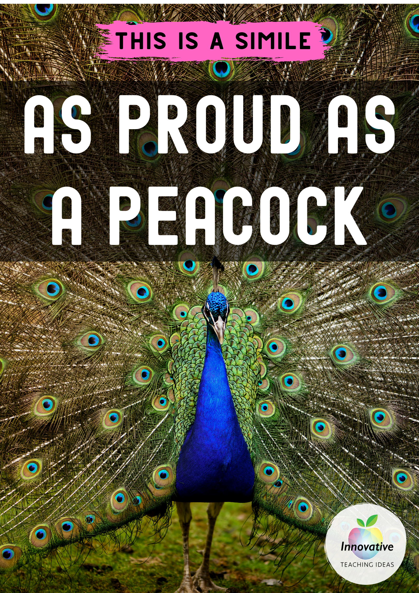 How To Write A Simile Poem With Examples And Tasks Literacy Ideas