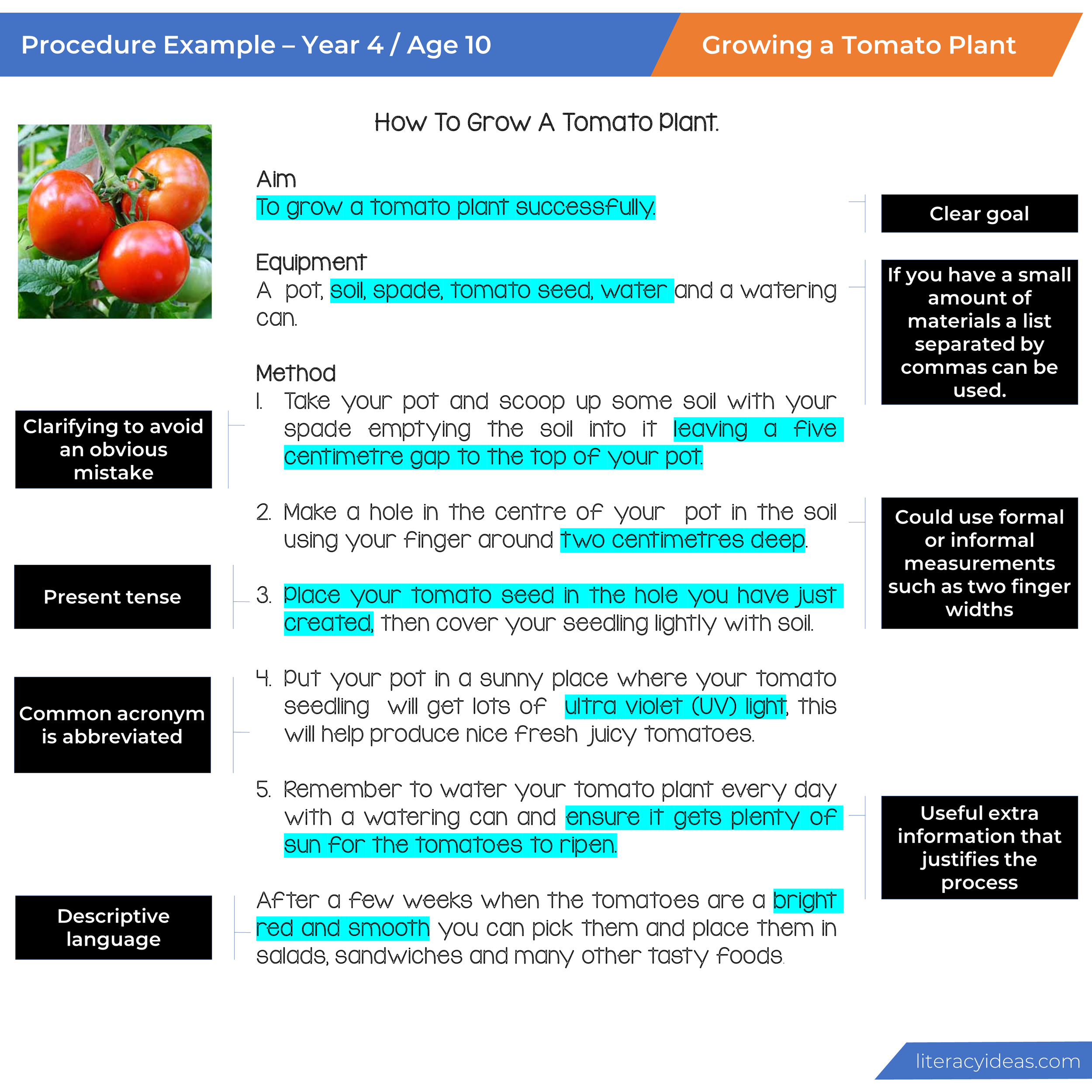 Example Of Procedure Text How To Make Fruit Salad