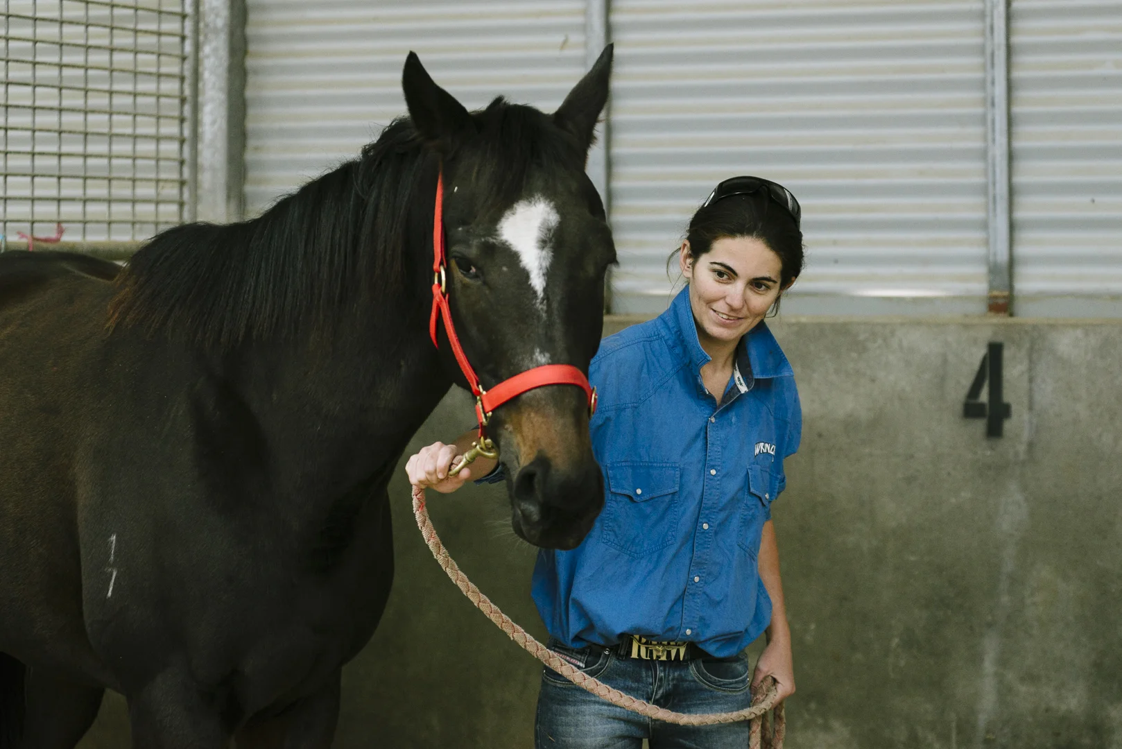 tafesa_ MorphettvilleLoRes-4235.jpg