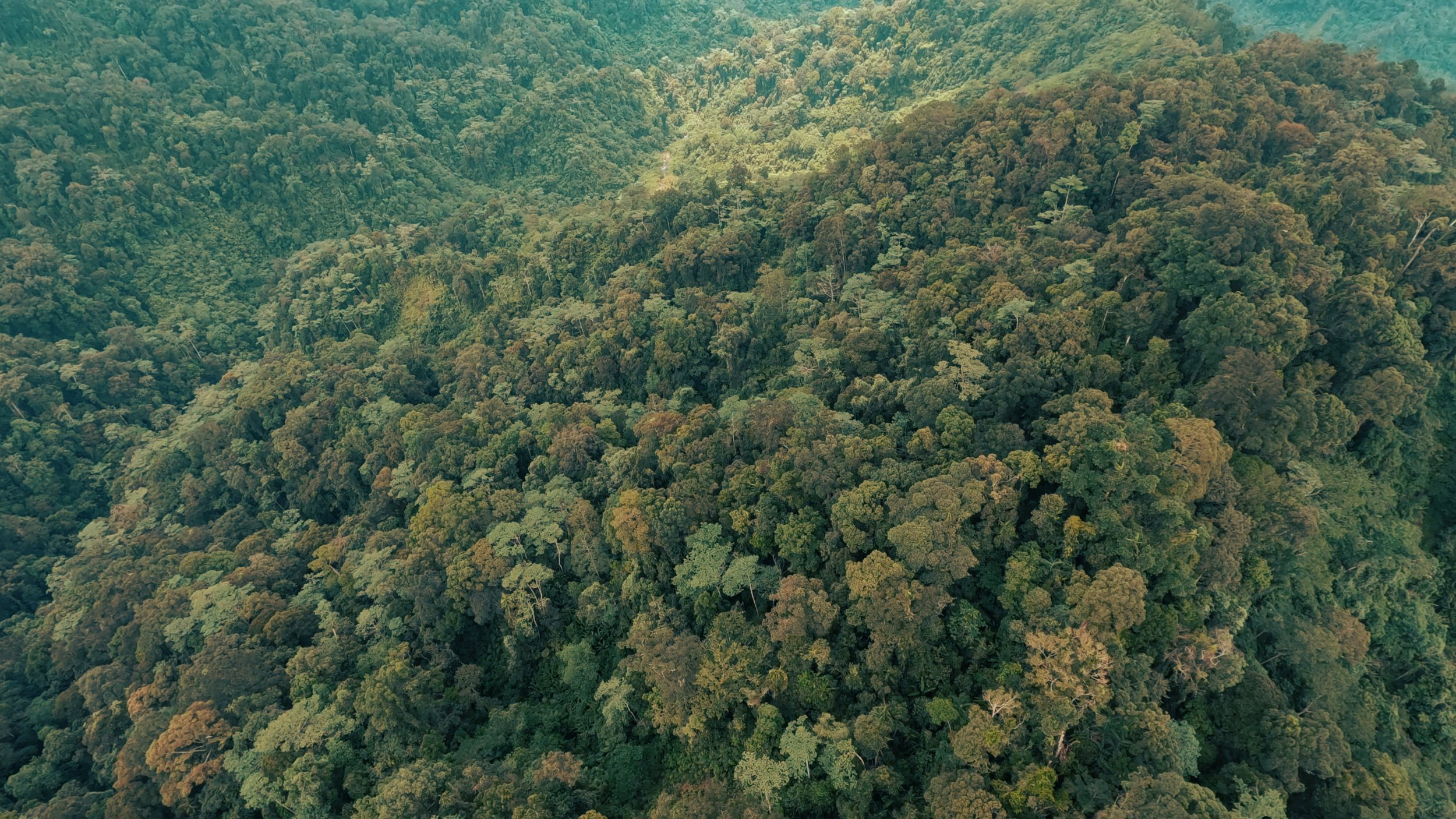 GPTempDownload 2.JPG