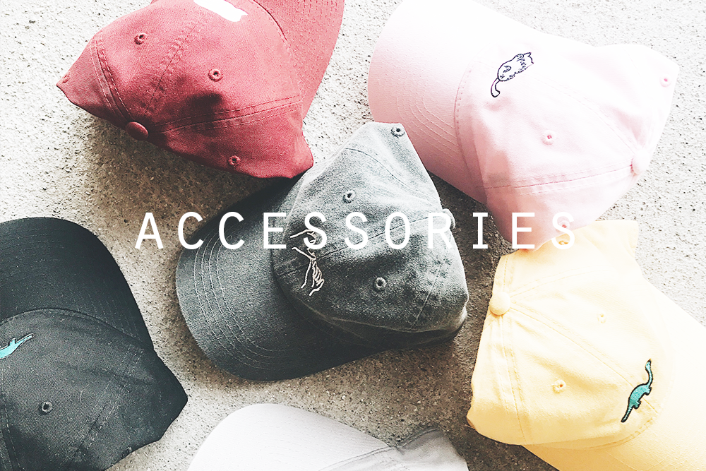 accessories.png