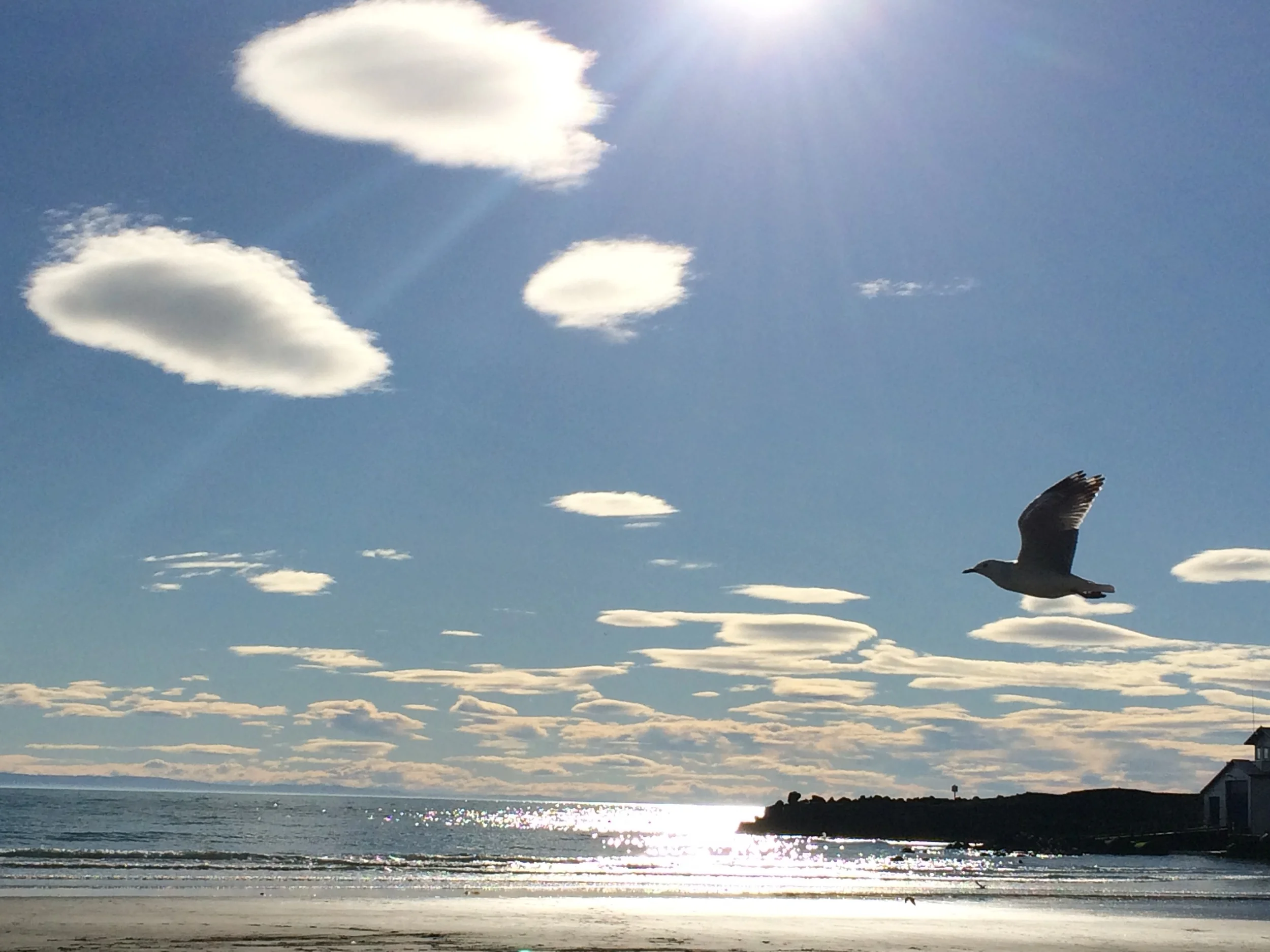 Sumner Beach Christchurch photo by Sunstone