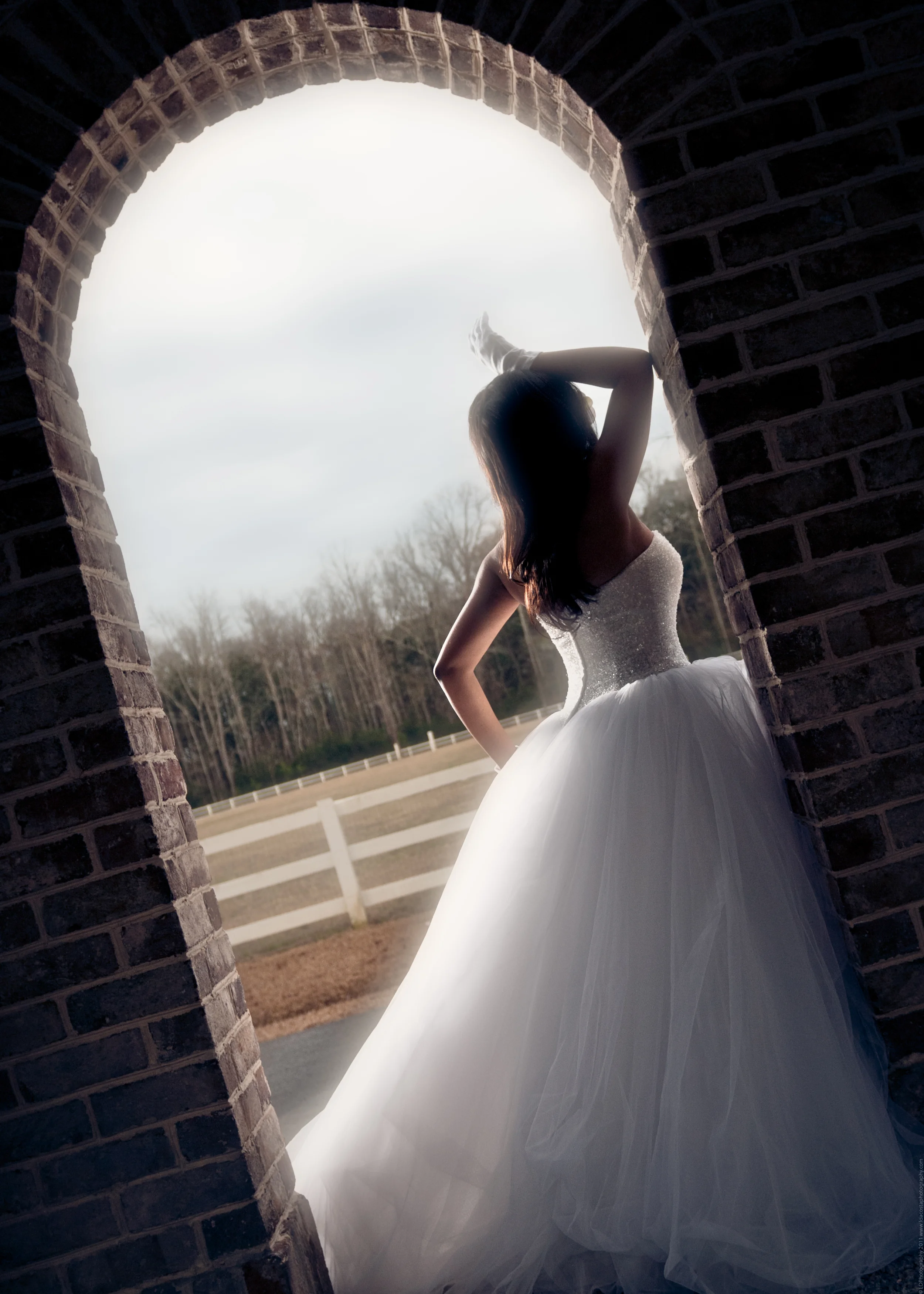 LDPhotography_Ebony_White--7.jpg