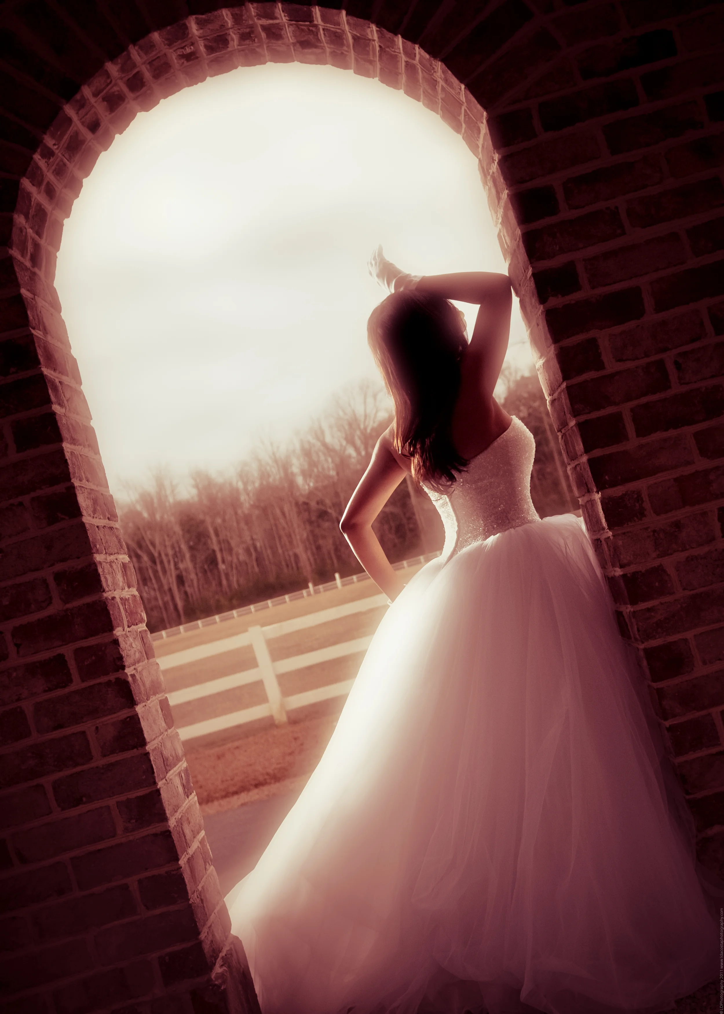 LDPhotography_Ebony_White--8.jpg