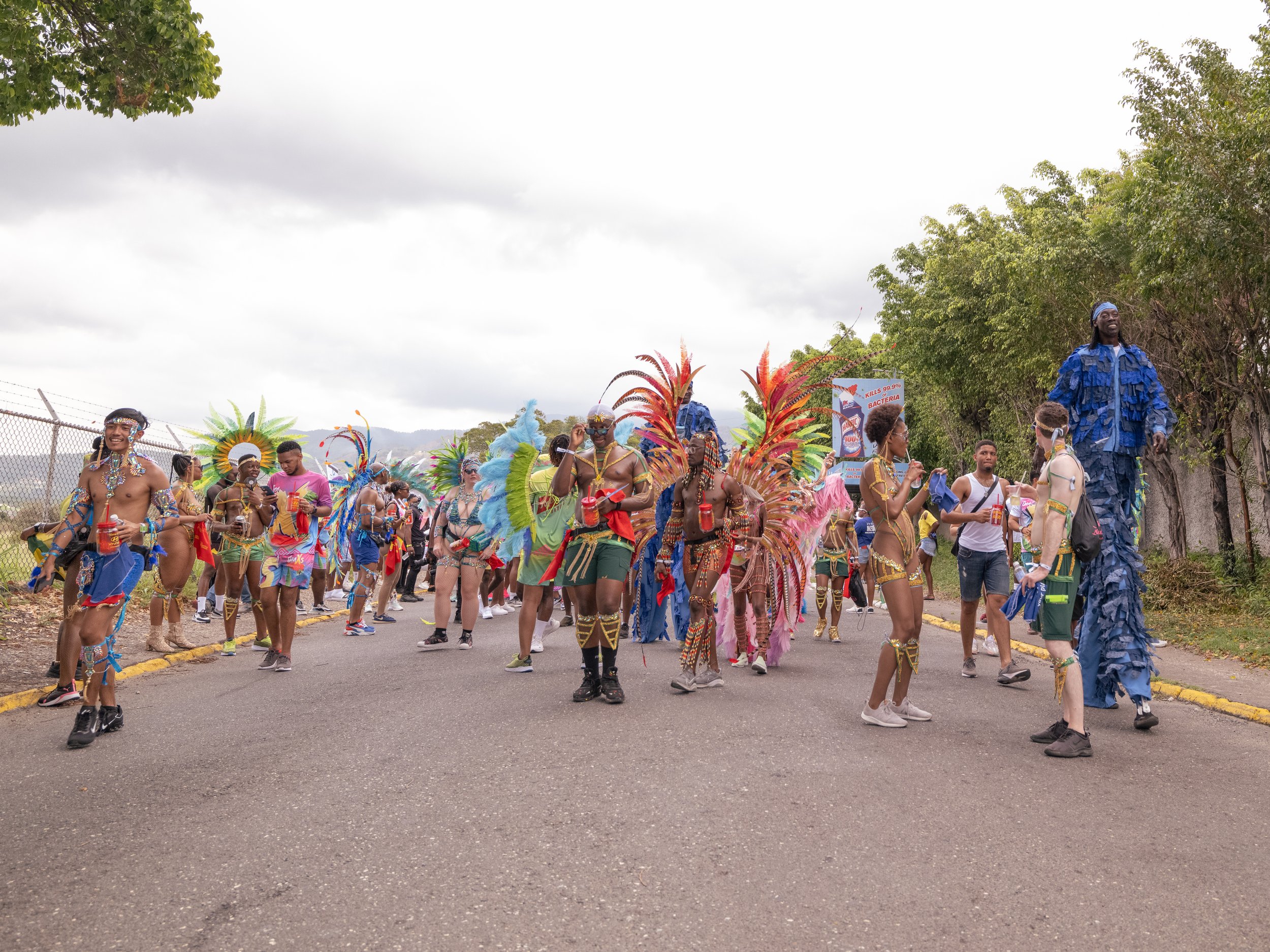 Jamaica Carnival 2023-LeightonD-9362.jpg