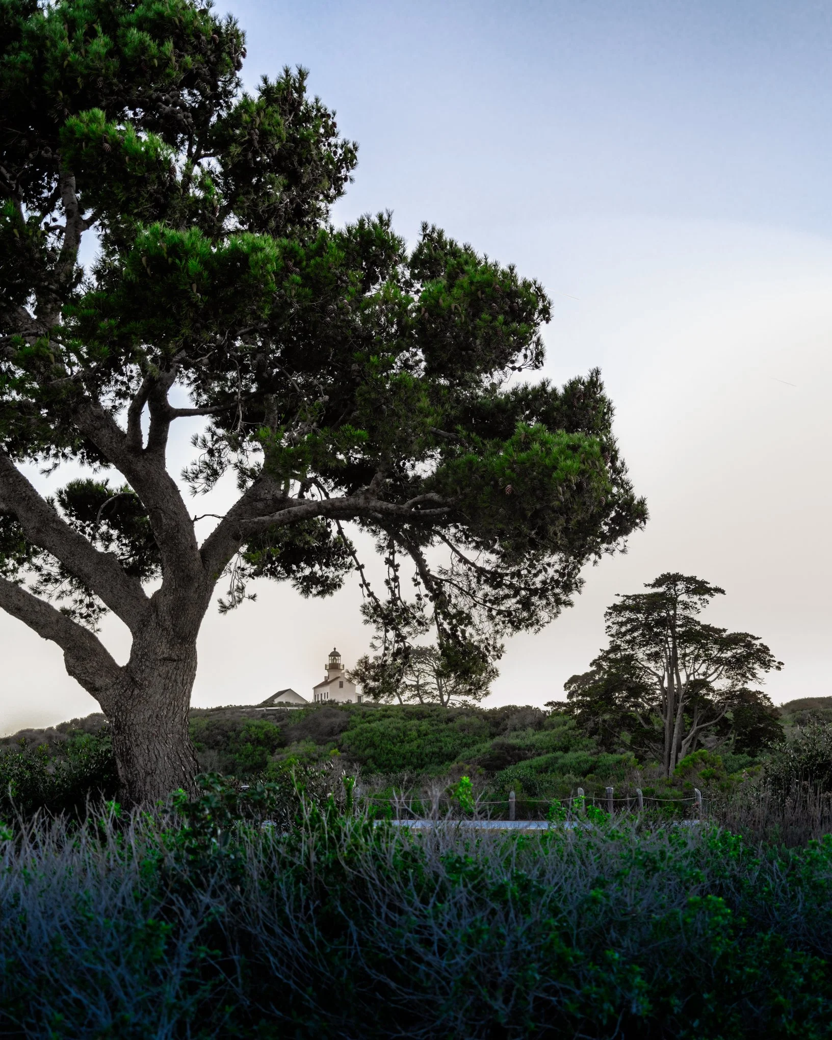 Old Point Loma Lighthouse at Cabrillo National Monument viewed through trees.
