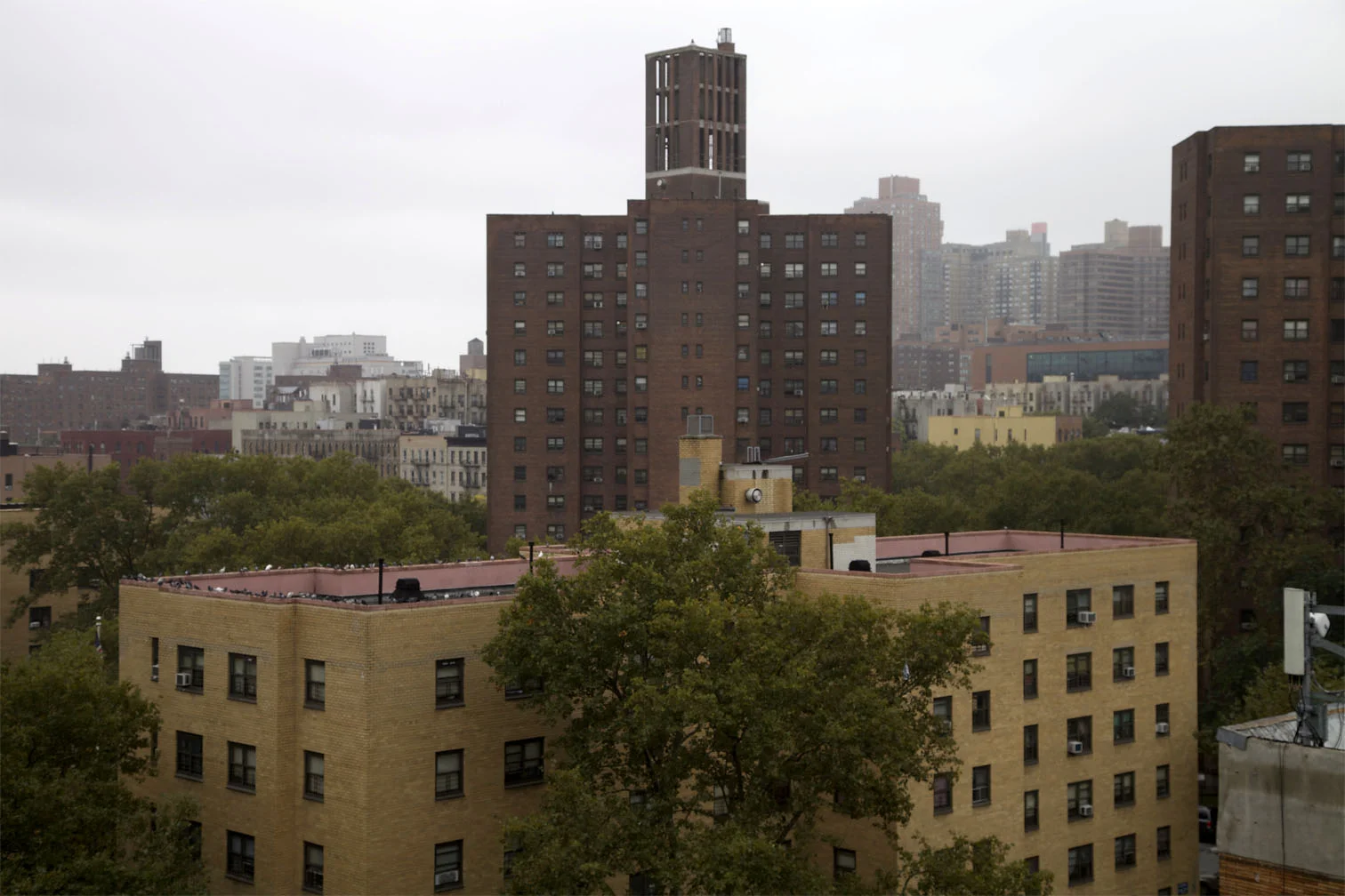 New York, NY.