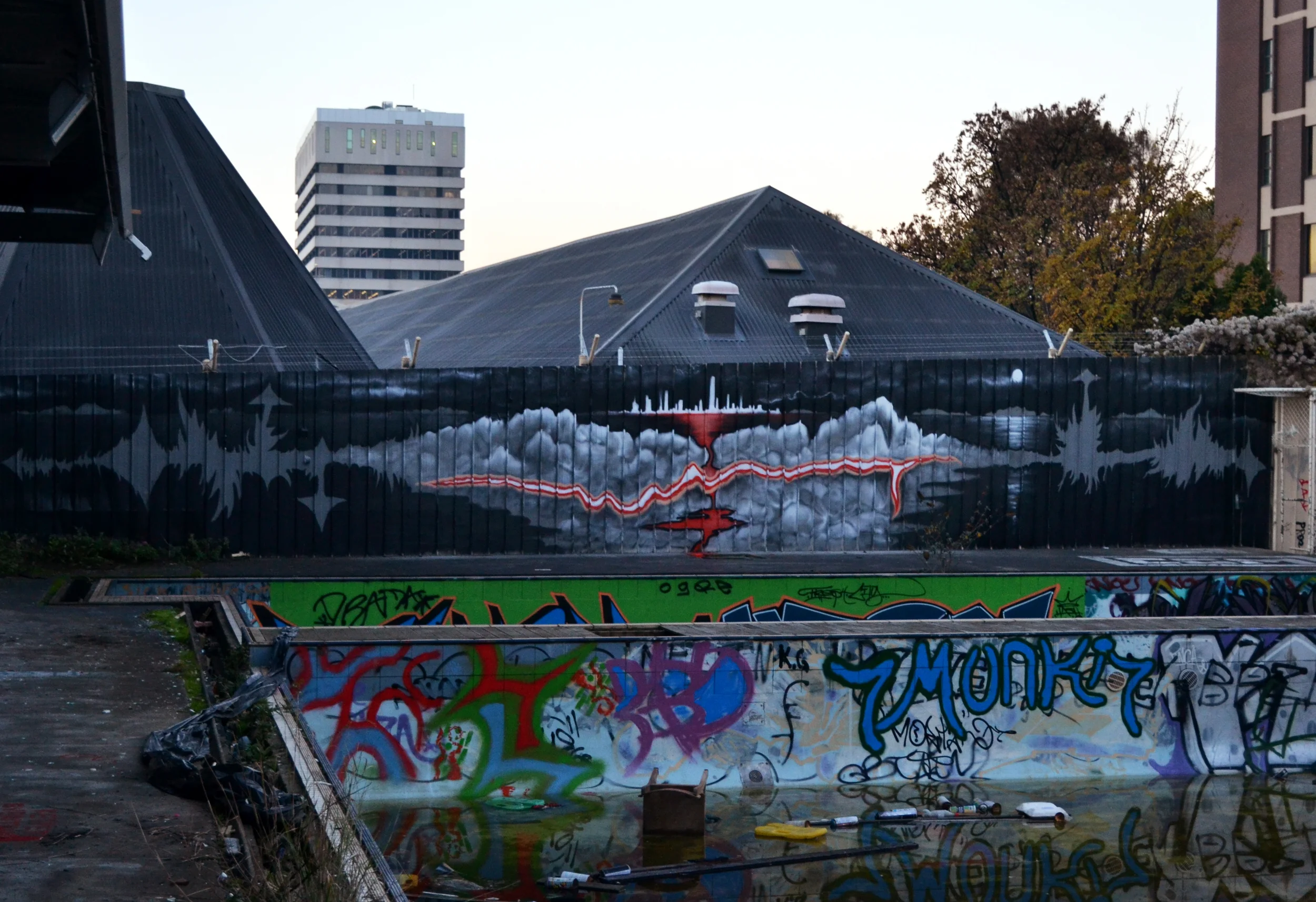 DSC_0032 copy.jpg