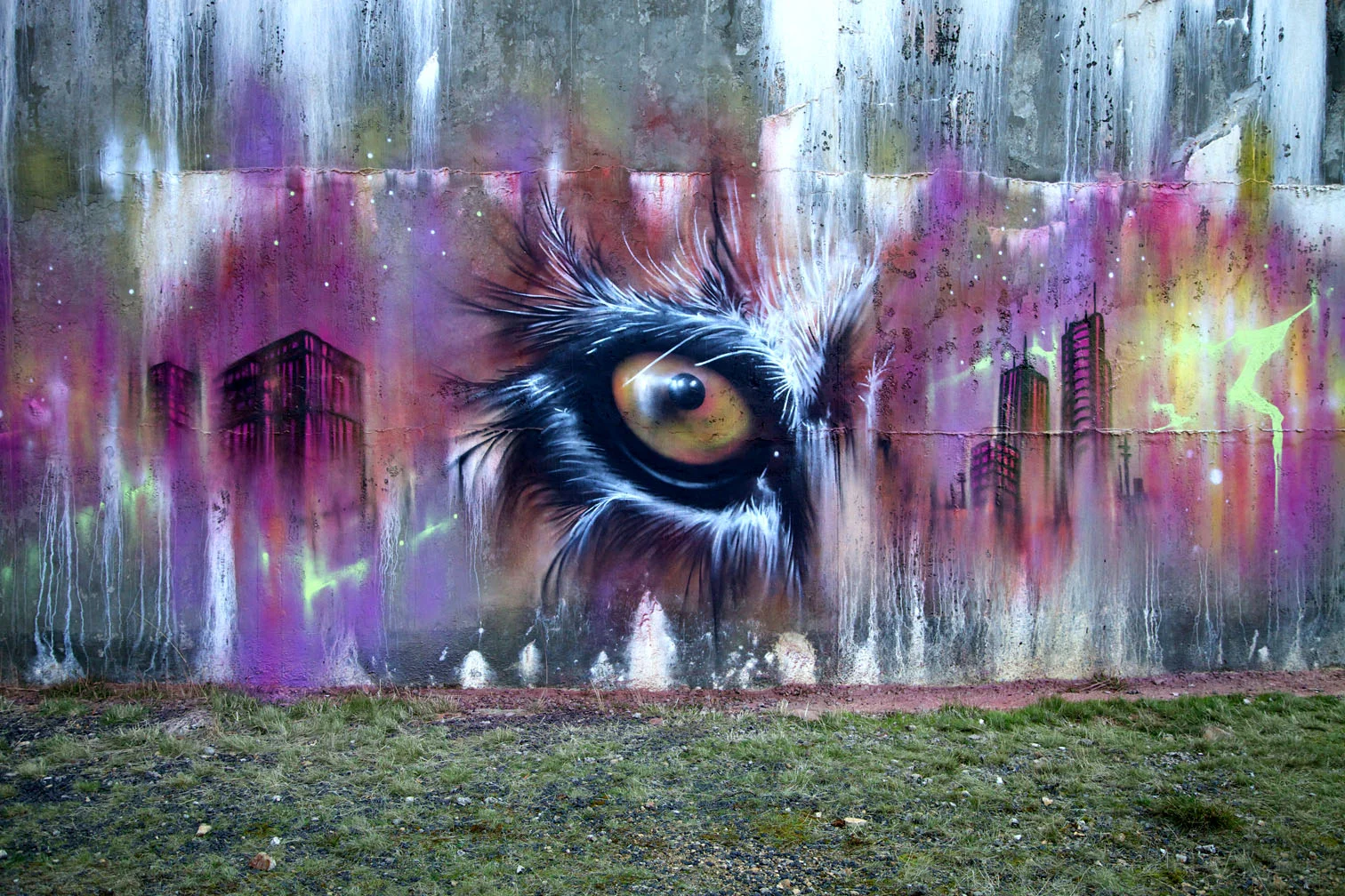 Owl.jpg