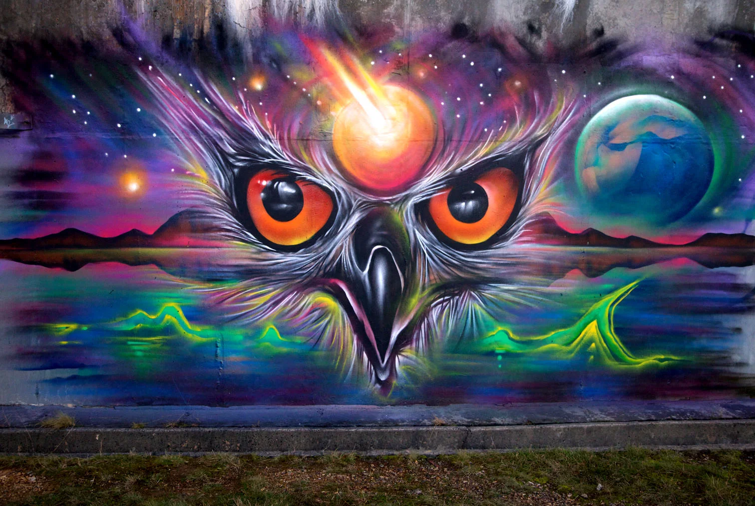 owl head.jpg
