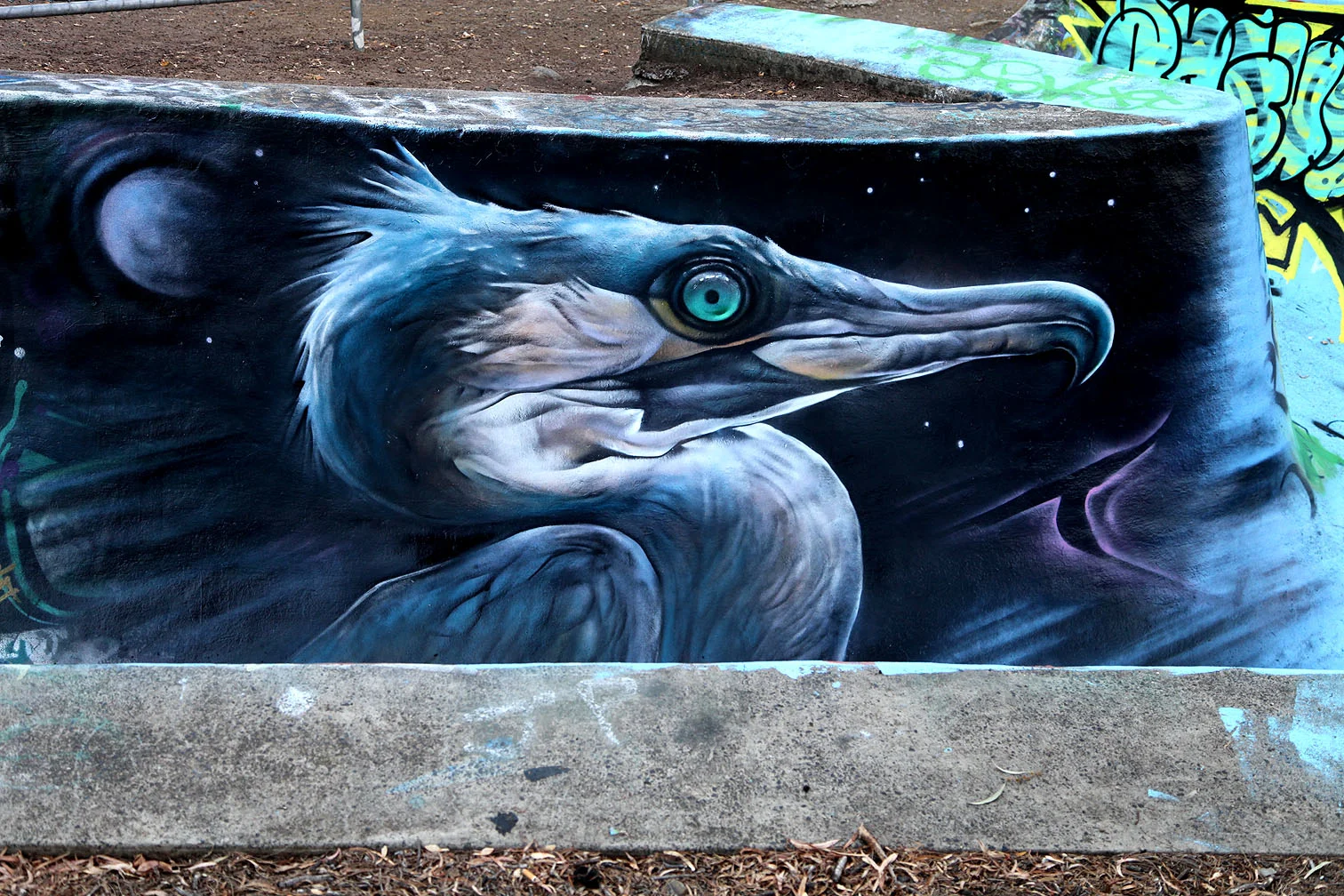 Blue Heron.jpg