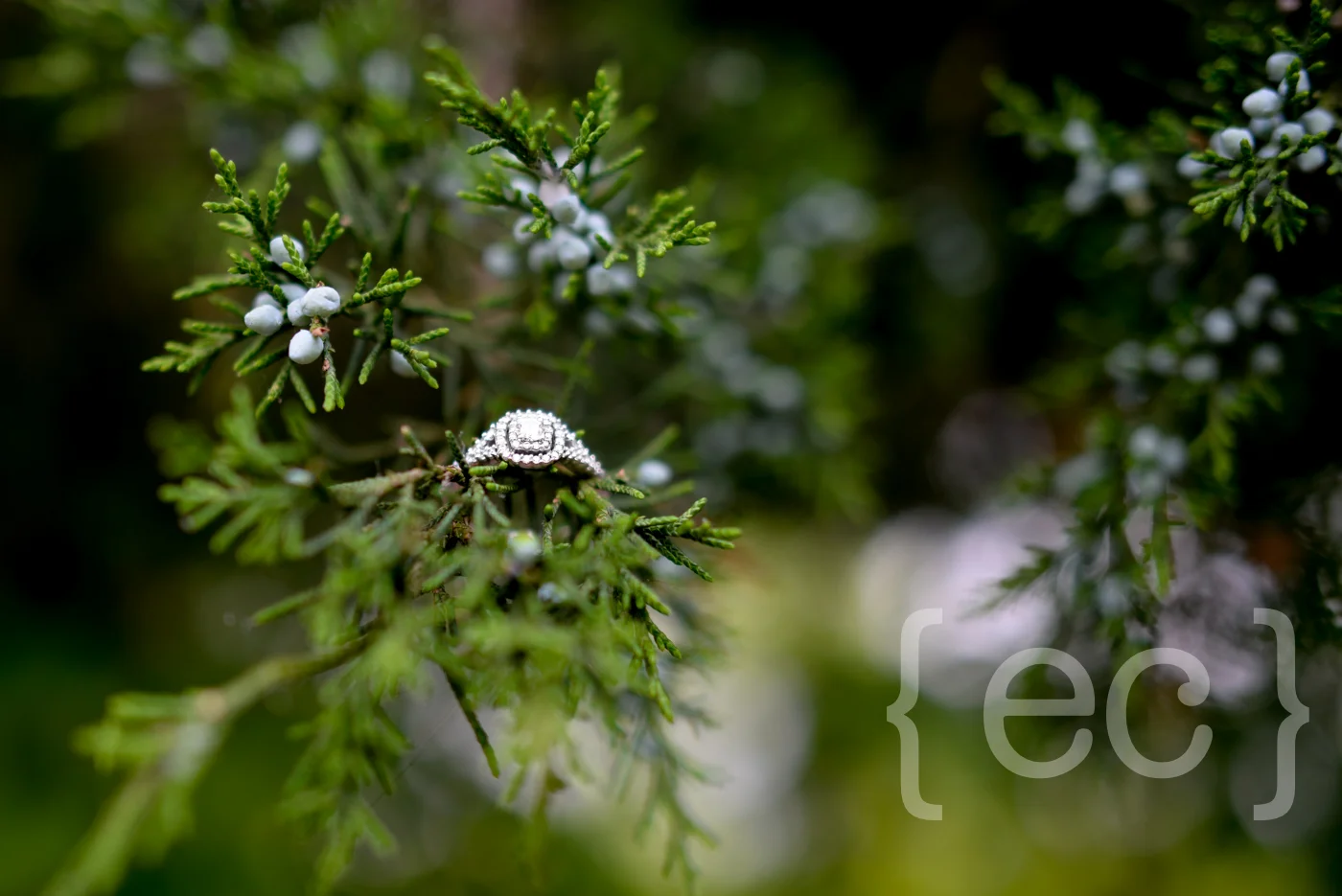 EmilieCarolShawn+Margie-14.jpg