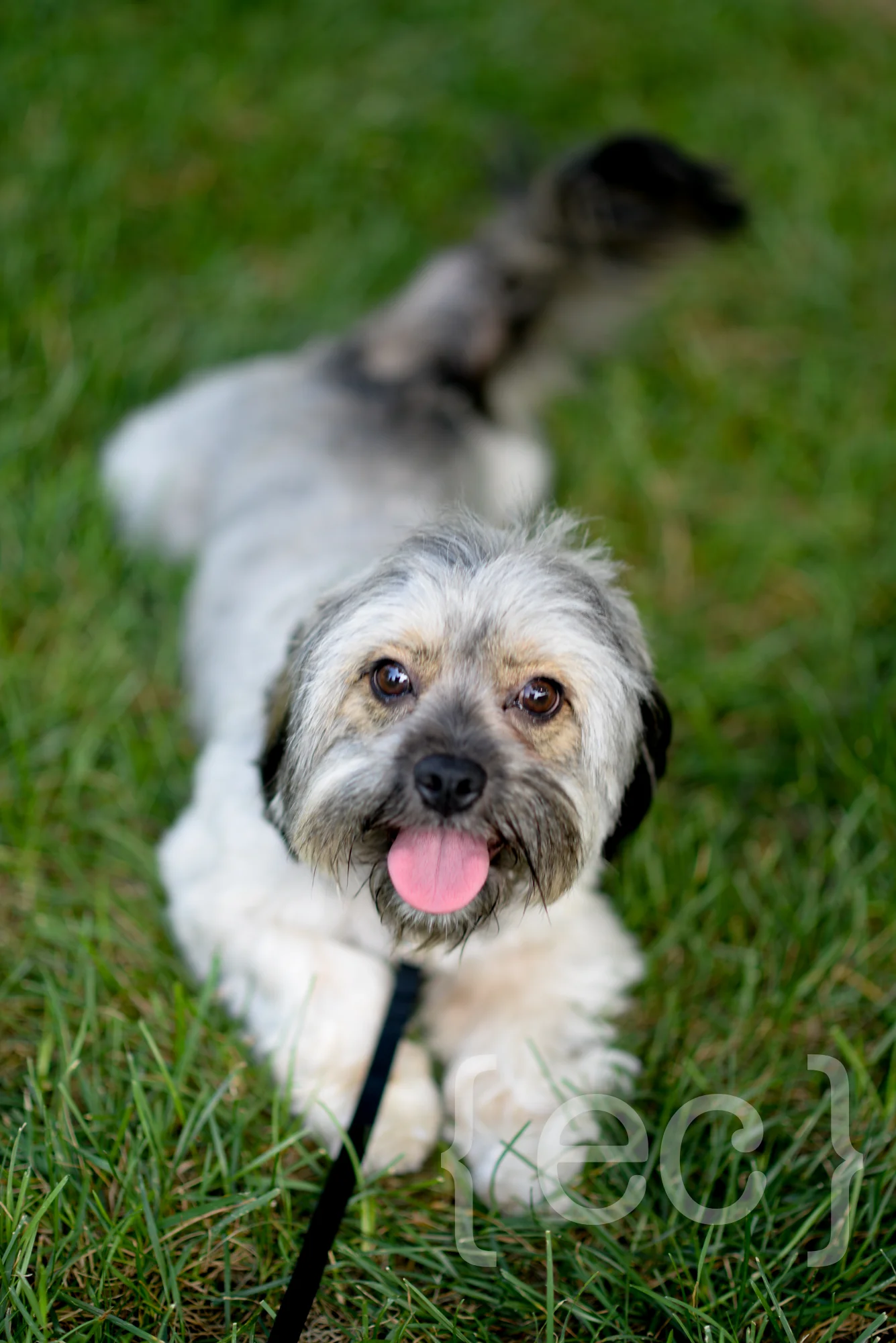 EmilieCarolBrad+Colby-38.jpg