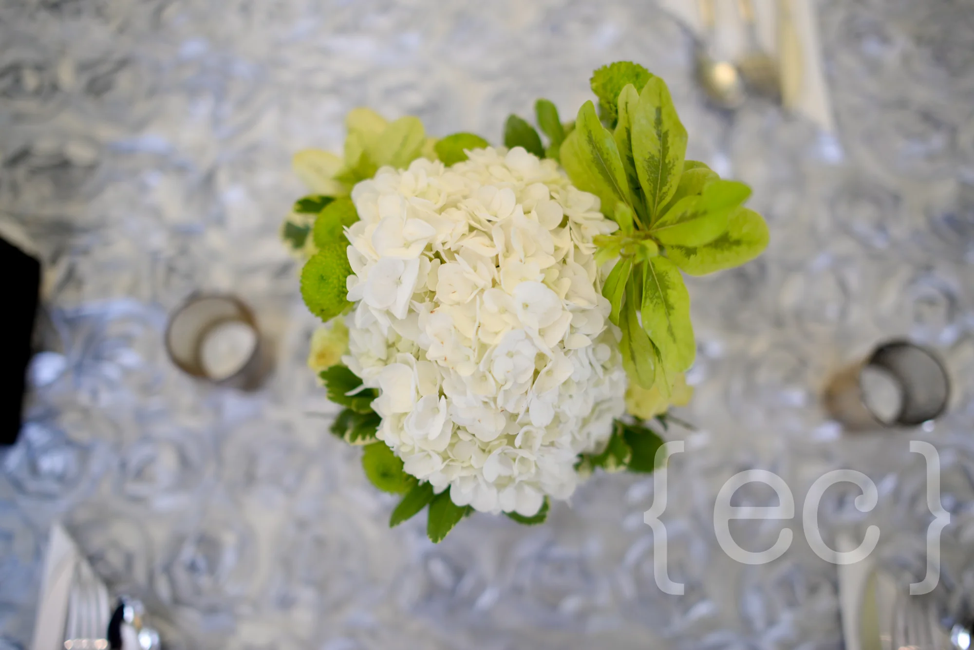 EmilieCarolMasseyAllenWedding-11.jpg