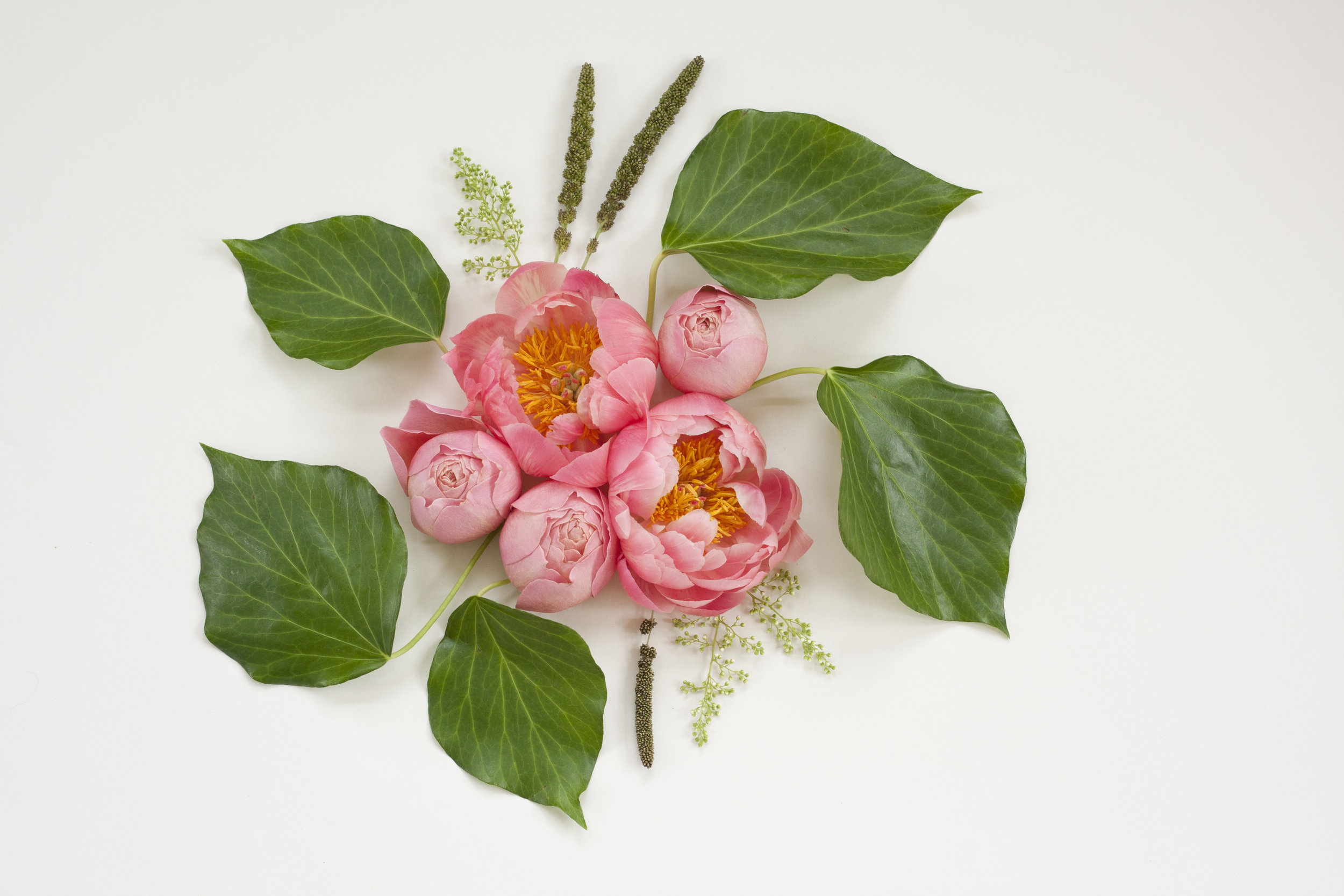 Deconstructed Bouquet