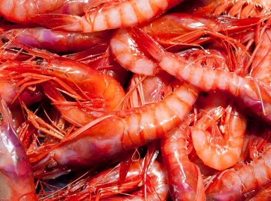 merces_gambes.jpg