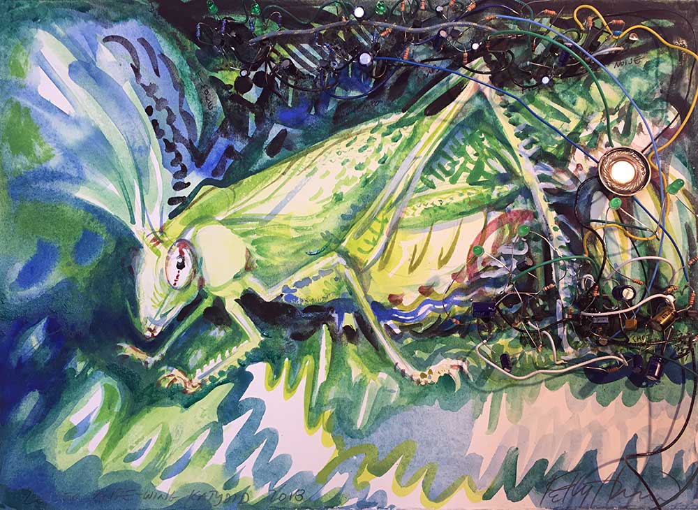 lesser-angle-winged-katydid.jpg