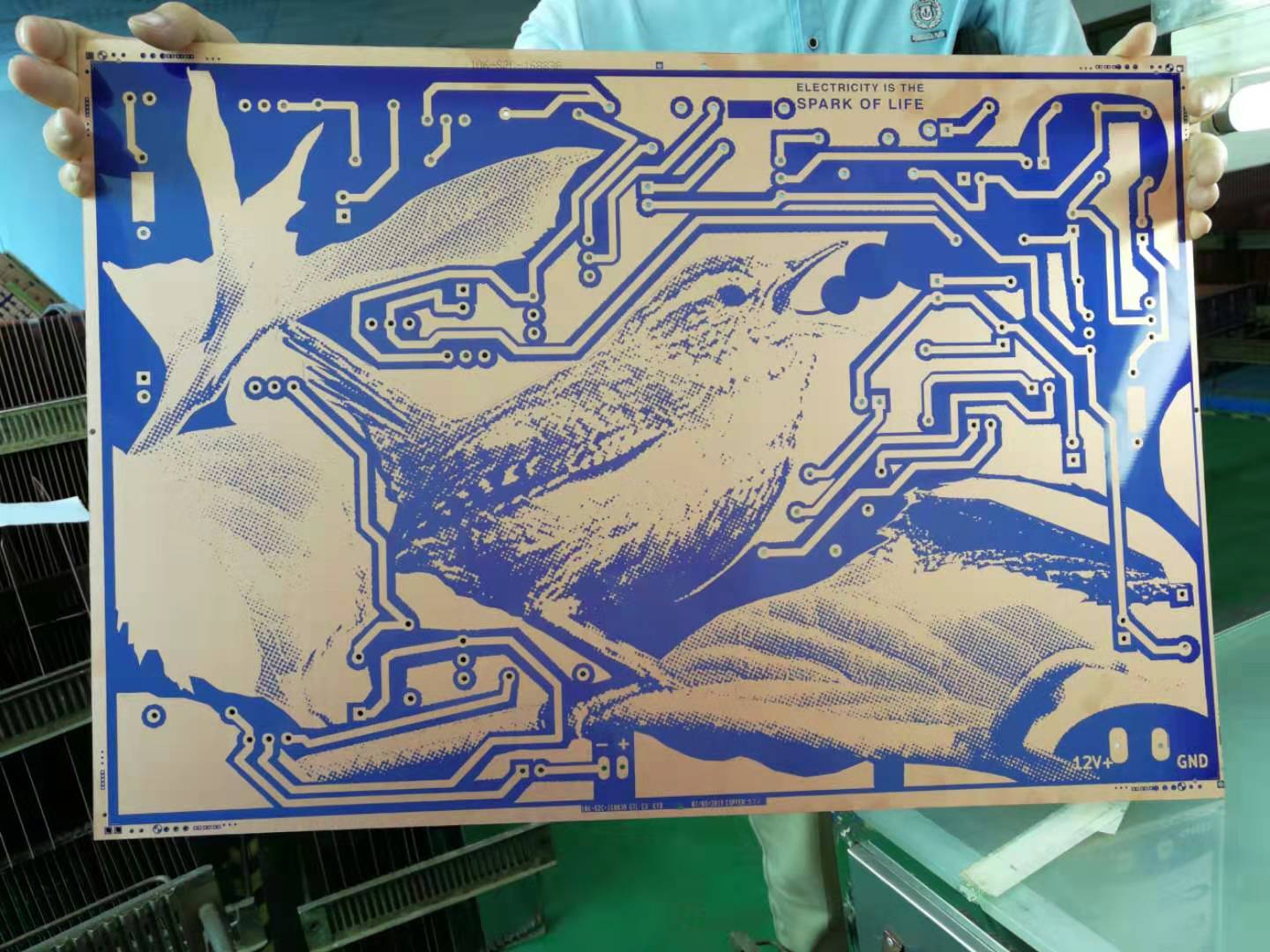 KHeaton_Big Pretty Bird process_front.jpg