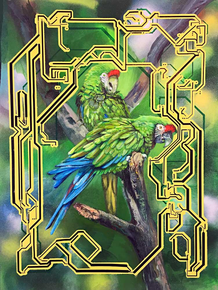 Parrots (Hazard Signal) — Kelly Heaton Studio
