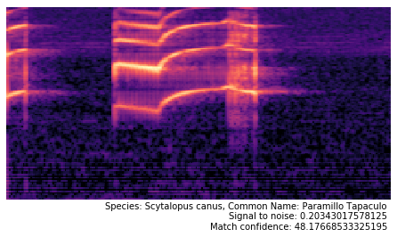 Sample spectrogram match