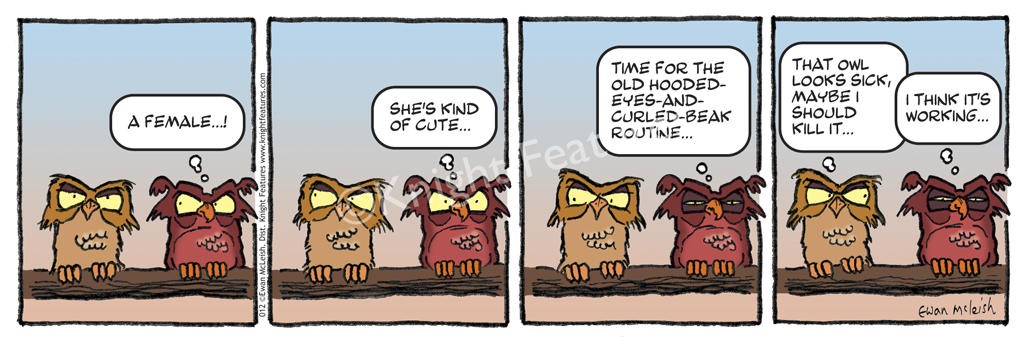 OTB_012.png
