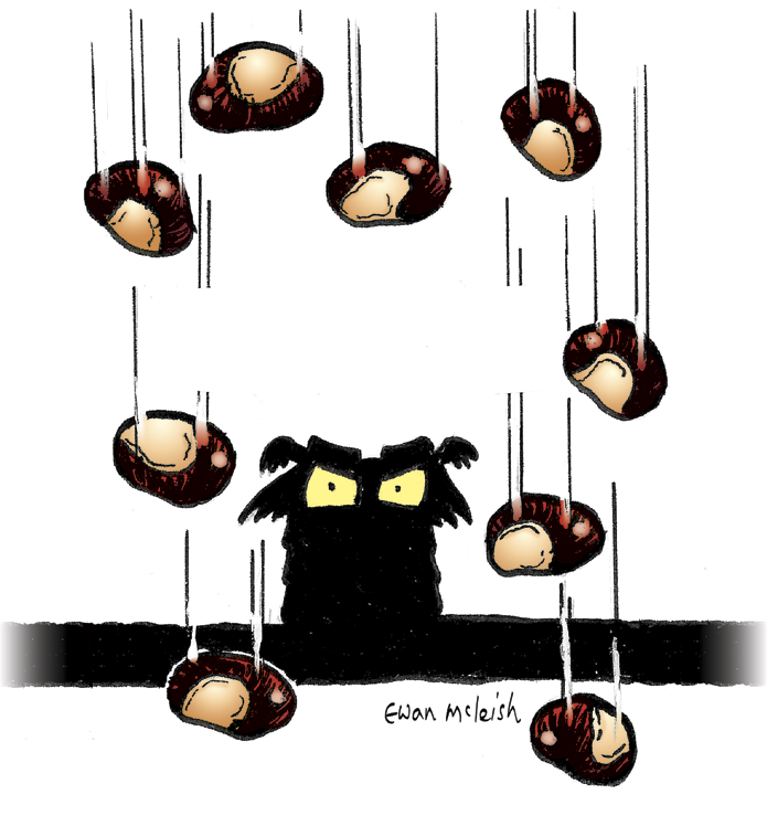 OTB_Spot_Conkers.png