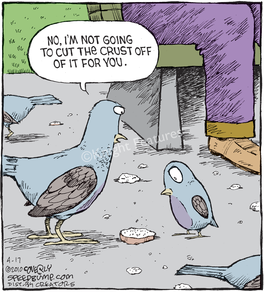 Speed Bump