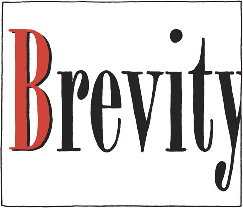 bv_logo_crop.png